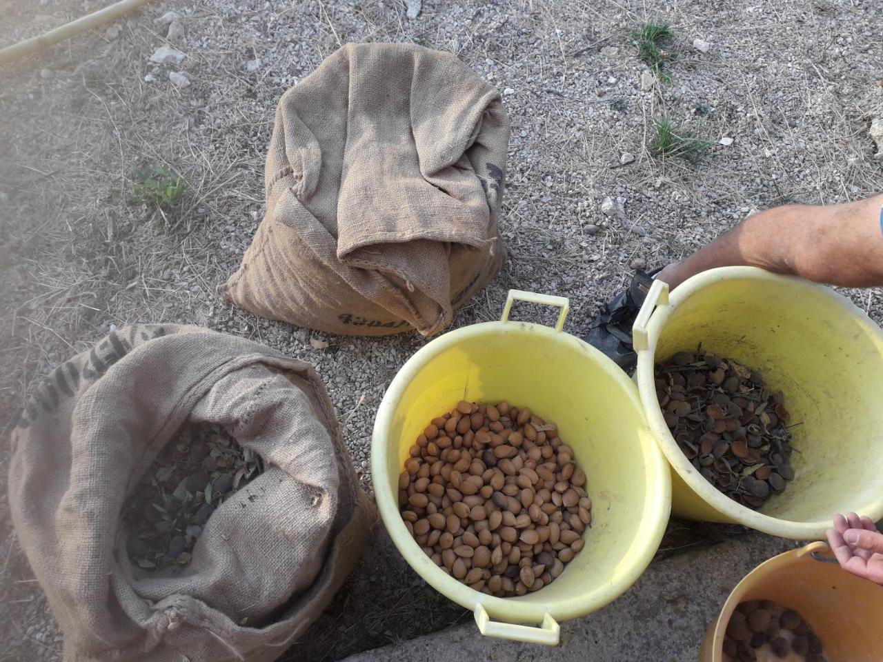 מונטאלגרו Agriturismo Casebianche מראה חיצוני תמונה